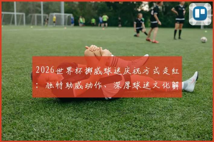 2026世界杯挪威球迷庆祝方式走红：独特助威动作、深厚球迷文化解析及模仿指南